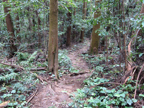 20191017hike (140)